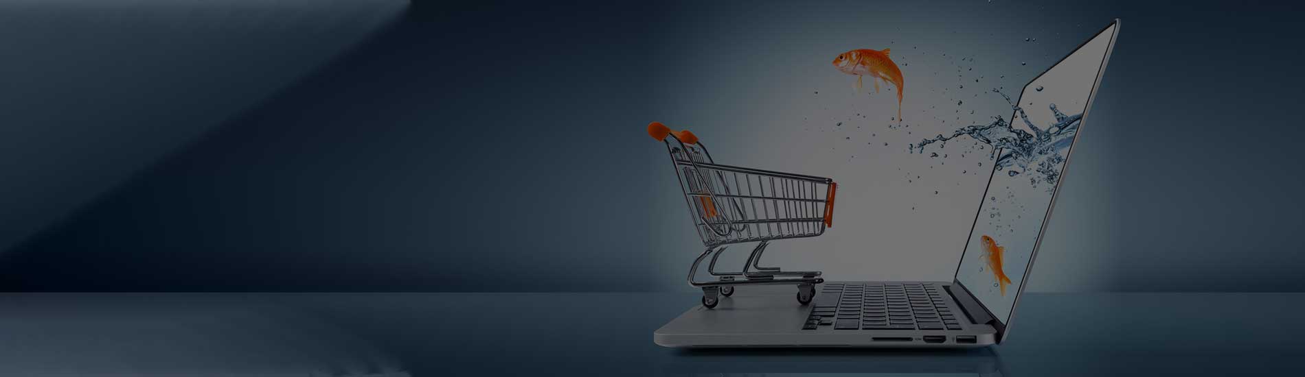 2022’s Leading Web Development and E-Commerce Platforms